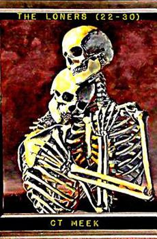 Paperback The Loners ( 22-30 ): Solitude finds silent love. Book