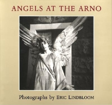 Angels at the Arno - Book  of the IMAGO MUNDI