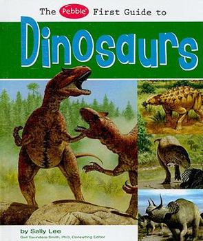 Hardcover The Pebble First Guide to Dinosaurs Book