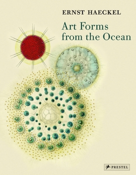 Paperback Art Forms from the Ocean: The Radiolarian Prints of Ernst Haeckel Book