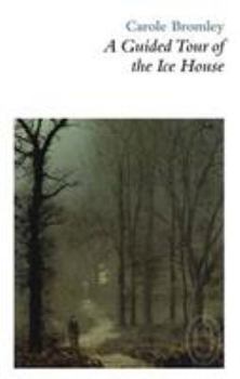 Paperback A Guided Tour of the Ice House Book