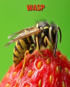 Paperback Wasp: Beautiful Pictures & Interesting Facts Children Book About Wasp Book