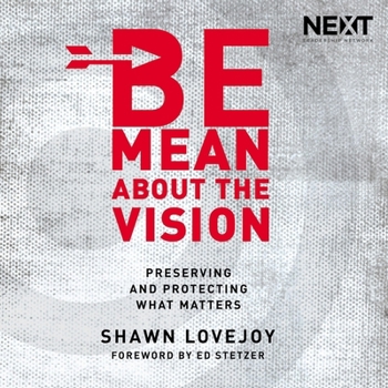 MP3 CD Be Mean about the Vision: Preserving and Protecting What Matters Book