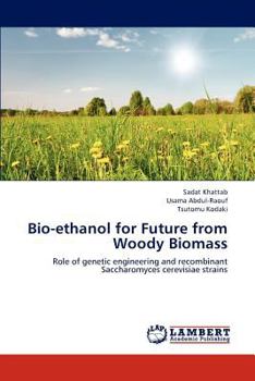 Paperback Bio-ethanol for Future from Woody Biomass Book