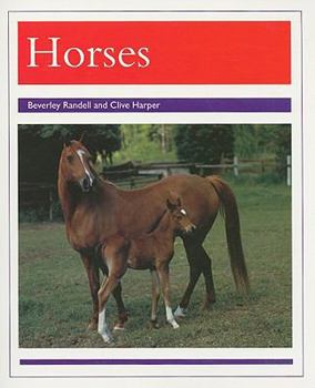 Paperback Animals - Horses: Individual Student Edition Purple (Levels 19-20) Book