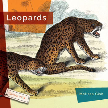 Library Binding Leopards Book