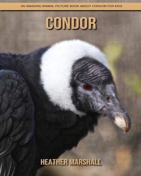 Paperback Condor: An Amazing Animal Picture Book about Condor for Kids Book