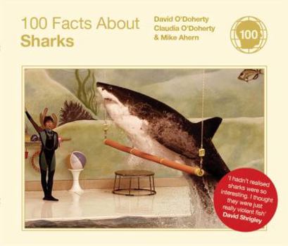 Hardcover 100 Facts about Sharks Book