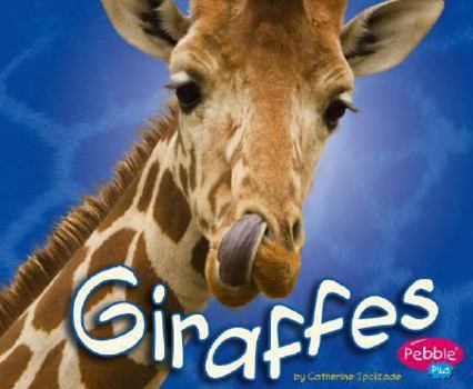 Hardcover Giraffes Book