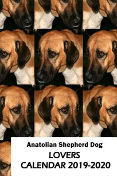 Paperback Anatolian Shepherd Dog Lovers Calendar 2019-2020 Book