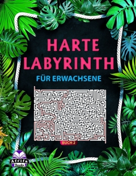 Paperback Harte Labyrinthbücher für Erwachsene Buch 2: 100 Labyrinth-Rätsel für kluge Leute [German] Book