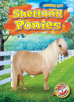 Library Binding Shetland Ponies Book
