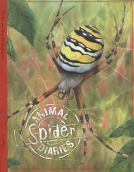 Paperback Animal Diaries: Spider Book