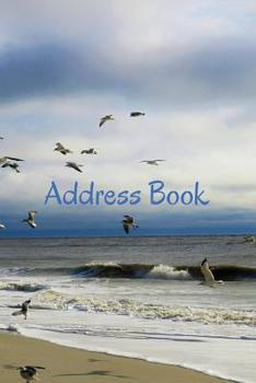 Address Book : Beach and Birds