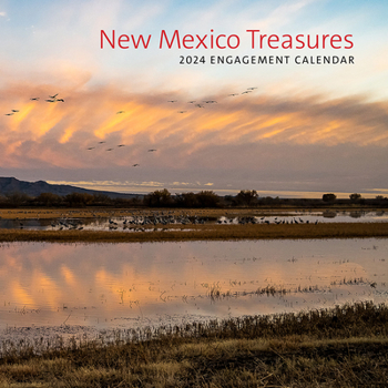 Paperback New Mexico Treasures 2024: Engagement Calendar Book