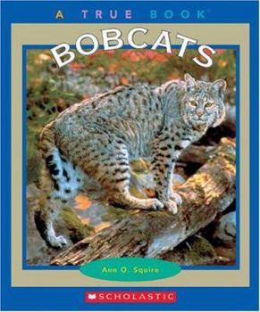 Bobcats (True Books) - Book  of the A True Book