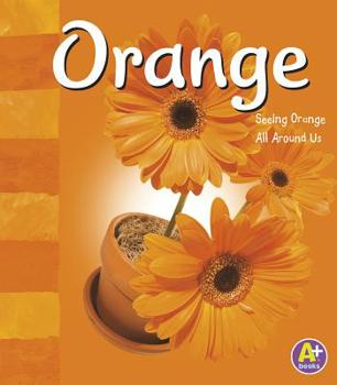 Paperback Orange: Seeing Orange All Around Us Book