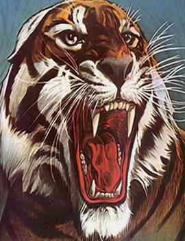 Paperback Tiger Notebook: 8.5 X 11 202 College Ruled Pages Book