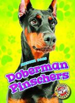 Doberman Pinschers - Book  of the Awesome Dogs