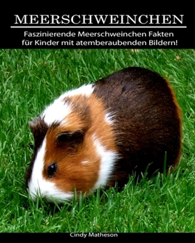 Meerschweinchen: Faszinierende Meerschweinchen Fakten f�r Kinder mit atemberaubenden Bildern!