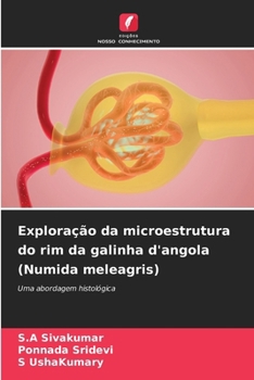 Exploração da microestrutura do rim da galinha d'angola (Numida meleagris) (Portuguese Edition)