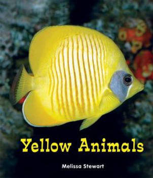 Yellow Animals - Book  of the All About a Rainbow of Animals