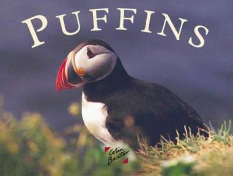 Hardcover Puffins (Scotland Gift Books) Book