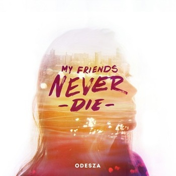 Vinyl My Friends Never Die Book