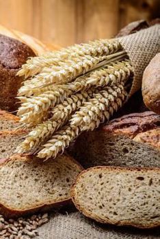 Bread Notebook