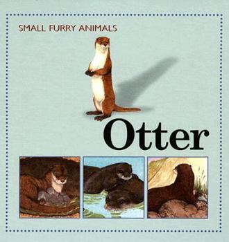 Otter (Small Furry Animals) - Book  of the Small Furry Animals