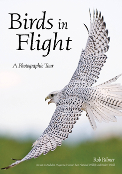 Paperback Birds in Flight: A Photographic Essay of Hawks, Ducks, Eagles, Owls, Hummingbirds, & More Book