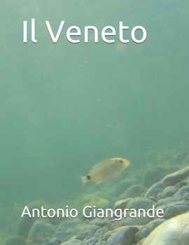 Paperback Il Veneto [Italian] Book