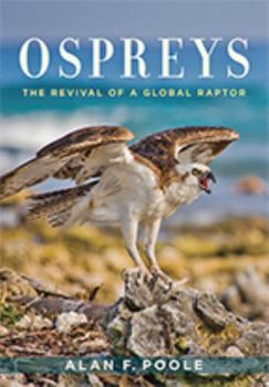Hardcover Ospreys: The Revival of a Global Raptor Book