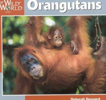 Hardcover Orangutans Book