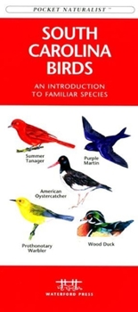 Paperback The Southern Night Sky: A Glow-In-The-Dark Guide to Prominent Stars & Constellations South of the Equator Book