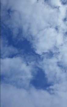 Paperback Dreams of Twenty Book