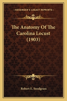 The Anatomy Of The Carolina Locust