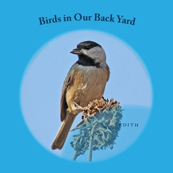 Paperback Birds in Our Back Yard Book