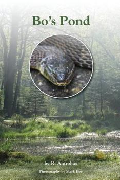 Paperback Bo's Pond Book