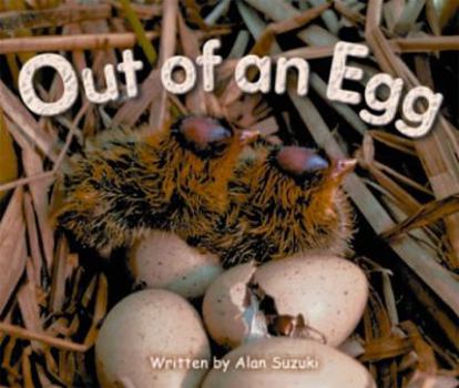 Out of an Egg