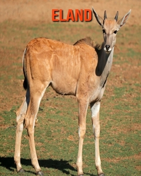 Paperback Eland: Beautiful Pictures & Interesting Facts Children Book About Eland Book