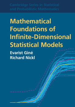 Paperback Mathematical Foundations of Infinite-Dimensional Statistical Models Book