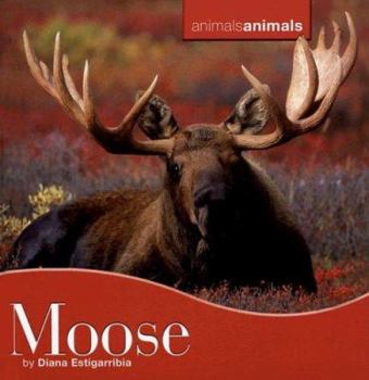 Library Binding Moose Book