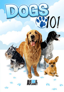 DVD Dogs 101 Book