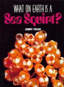 Library Binding What on Earth is a Sea Squirt? Book