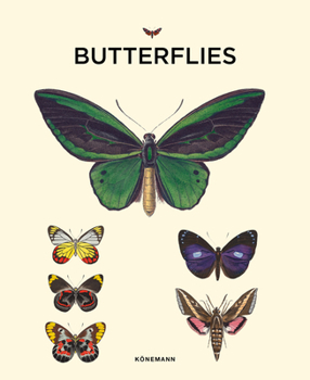 Hardcover Butterflies Book