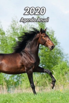 2020 Agenda Anual: Caballo andaluz | Ecuestre | 129 Páginas | Tamaño A5 | Planificador Semanal | 12 Meses | 1 Semana en 2 Páginas | Agenda Semana Vista | Tapa Blanda (Spanish Edition)