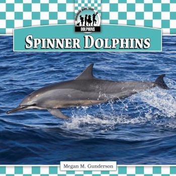 Library Binding Spinner Dolphins Book
