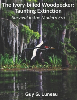 Paperback The Ivory-billed Woodpecker: Taunting Extinction: Survival in the Modern Era Book