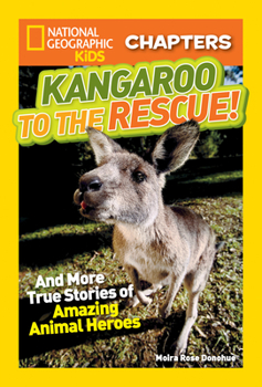 Paperback Kangaroo to the Rescue!: And More True Stories of Amazing Animal Heroes Book